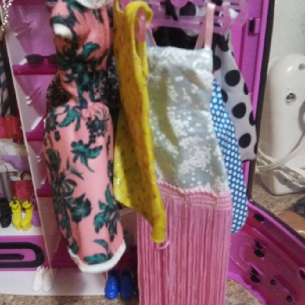 Barbie closet